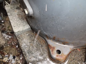 DSCF3903