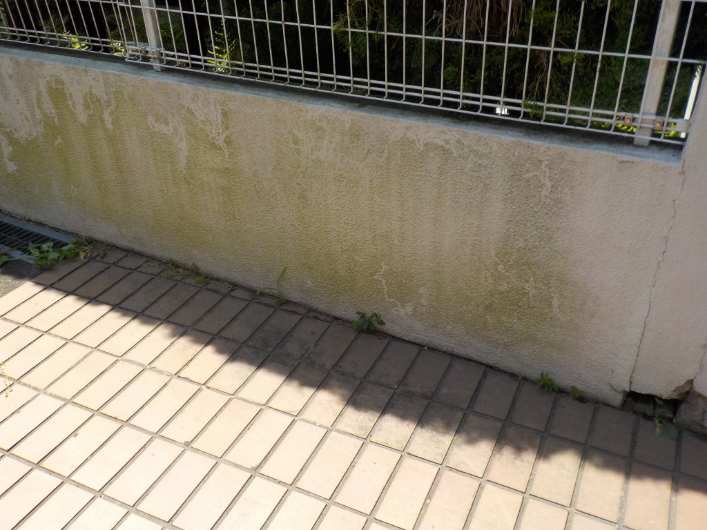 外構塀のコケ落としをいたしました | マンションの内装・外装なら世田谷区のリフォームの三幸株式会社にお任せください!