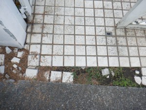 ②